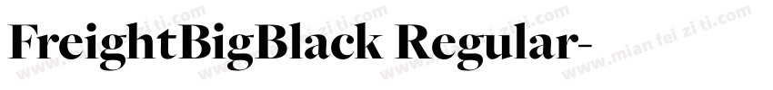 FreightBigBlack Regular字体转换
